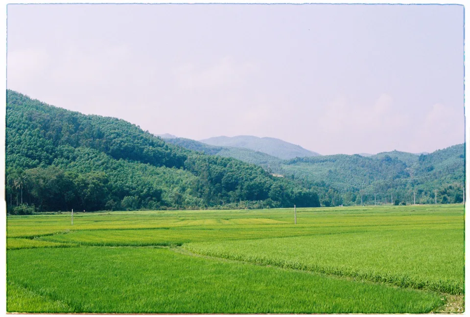 Cân và đóng bao