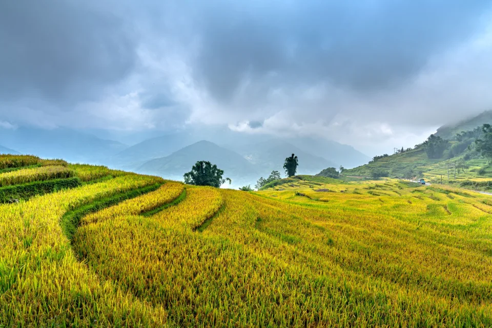 Kho gạo của Bình Nam