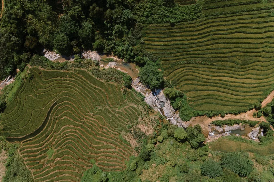 Kho gạo xếp bao